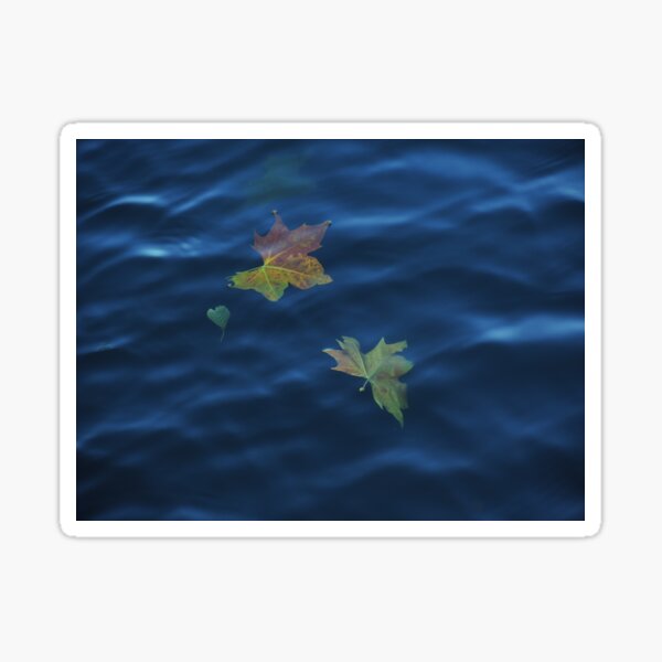 Adrift Sticker
