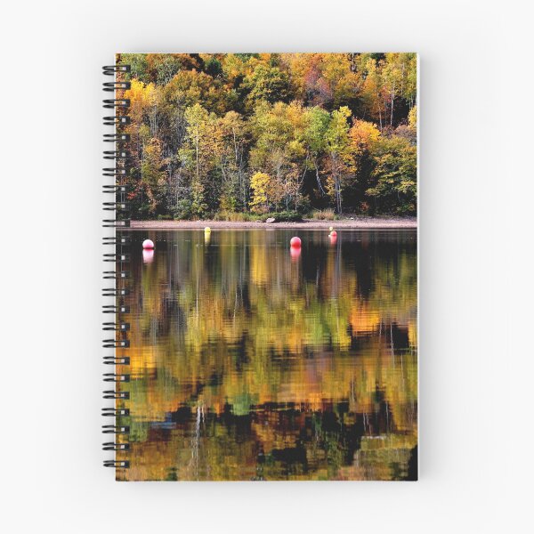 Item preview, Buoyant Reflections designed and sold by Kathleen Daley.