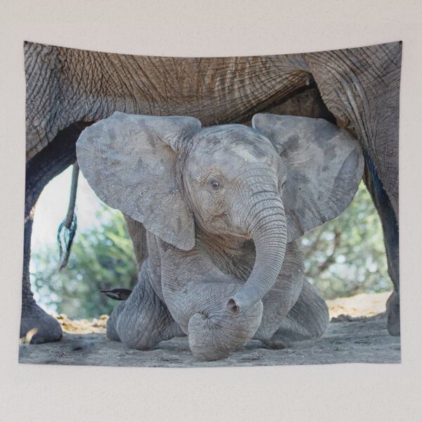Item preview, Adorable baby elephant. designed and sold by Maddie4Real.