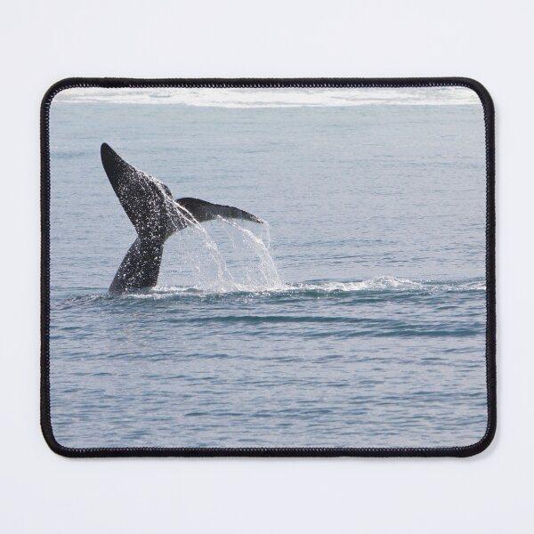 Item preview, Playtime at Fowler's Bay designed and sold by Rob Beckett.