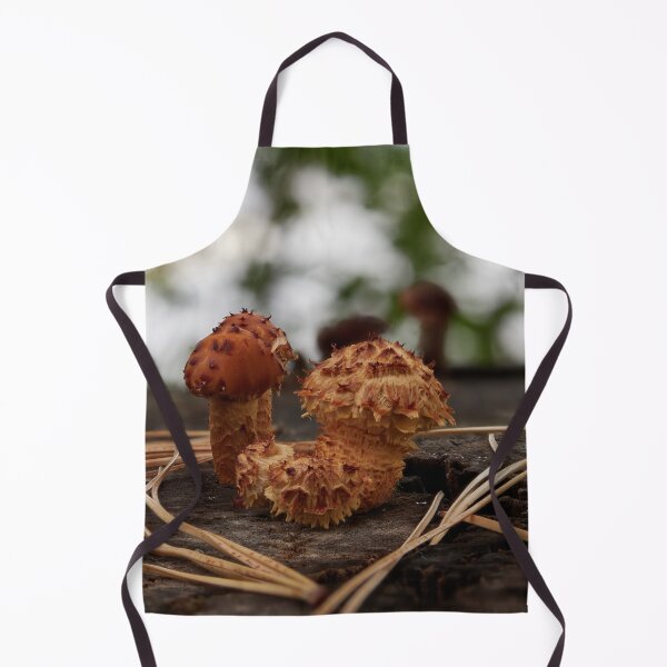 Item preview, Shaggy scalycap close up designed and sold by Jouko Lehto Photography.