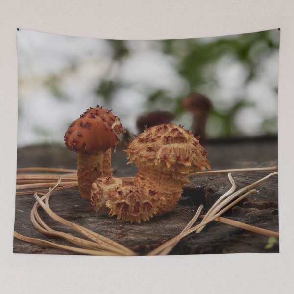 Item preview, Shaggy scalycap close up designed and sold by Jouko Lehto Photography.