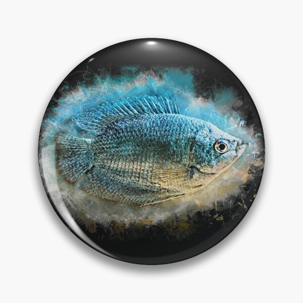 Item preview, Blue dwarf gourami - Colisa lalia designed and sold by AquariumLutter.