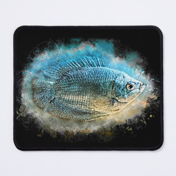 Item preview, Blue dwarf gourami - Colisa lalia designed and sold by AquariumLutter.