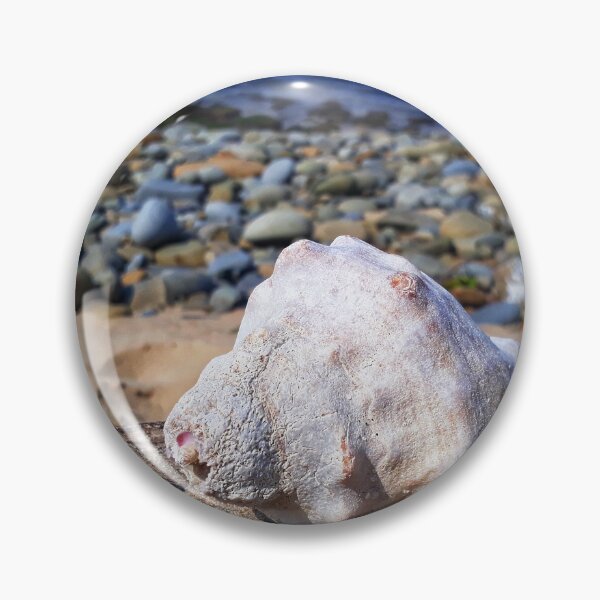 Item preview, Seashell on Driftwood at Sunrise on Sea Beach designed and sold by Beachy.