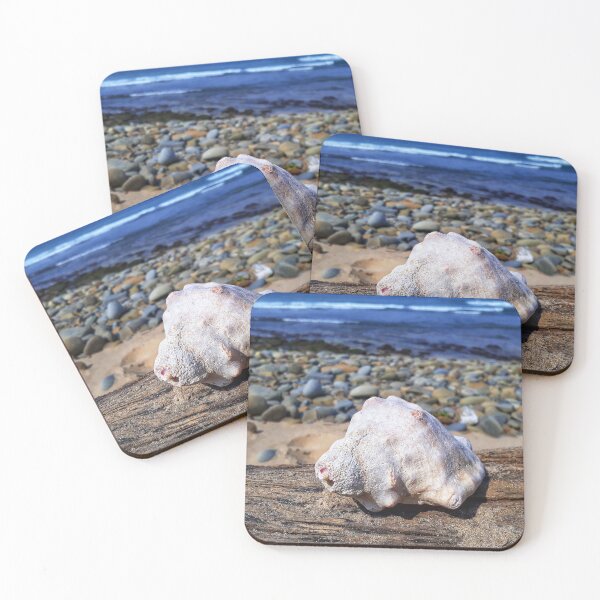 Item preview, Seashell on Driftwood at Sunrise on Sea Beach designed and sold by Beachy.