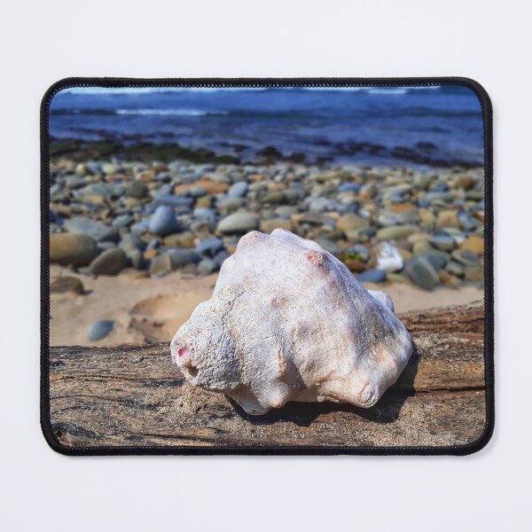 Item preview, Seashell on Driftwood at Sunrise on Sea Beach designed and sold by Beachy.