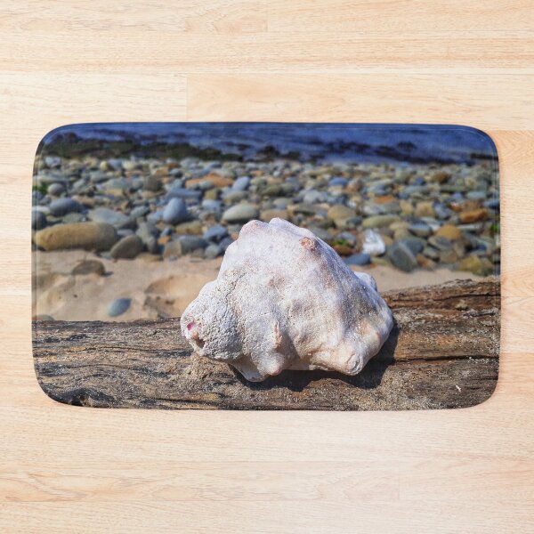 Item preview, Seashell on Driftwood at Sunrise on Sea Beach designed and sold by Beachy.