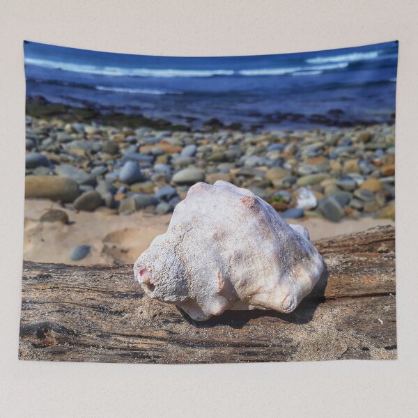 Item preview, Seashell on Driftwood at Sunrise on Sea Beach designed and sold by Beachy.