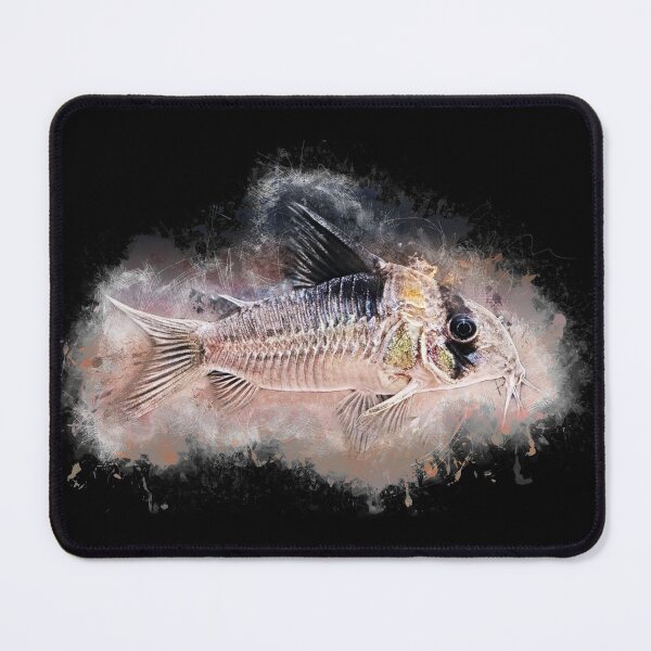 Item preview, Burgess' orange spot catfish - Corydoras burgessi designed and sold by AquariumLutter.