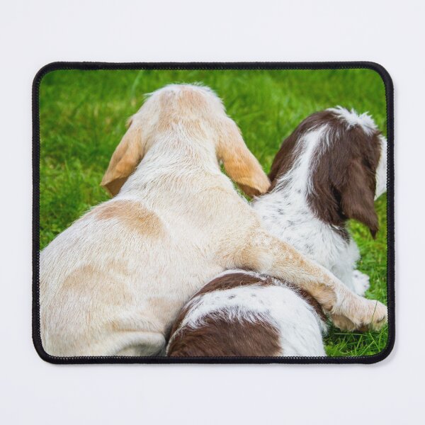 Item preview, Free hugs Spinone by heidiannemorris designed and sold by FOLK ART FUSION.