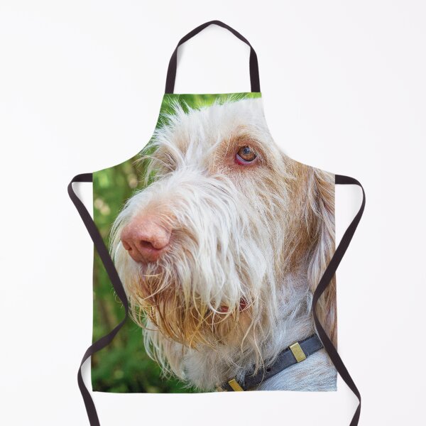 Item preview, Thinking thoughts Spinone by heidiannemorris designed and sold by FOLK ART FUSION by heidiannemorris.