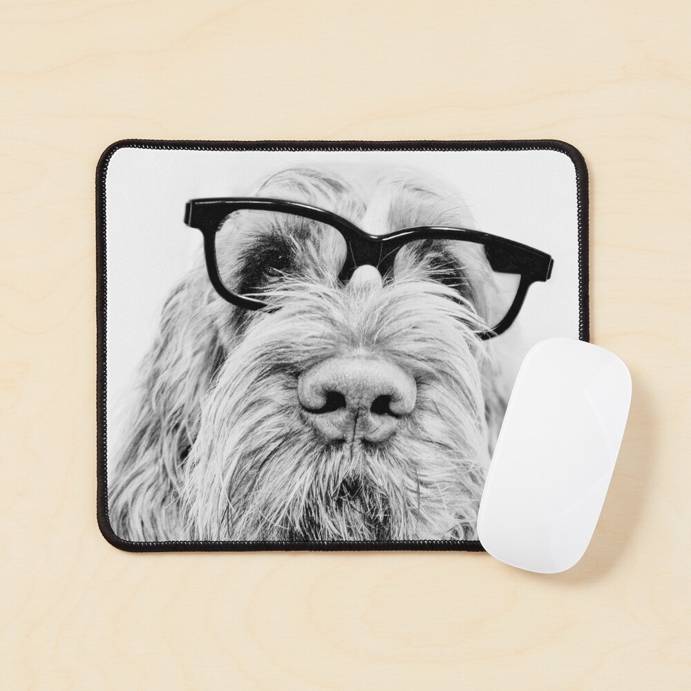 Intelligent friend Spinone Mouse Pad