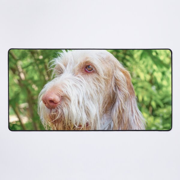 Thinking thoughts Spinone Desk Mat