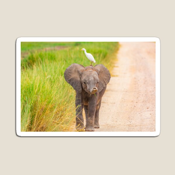 Item preview, Cute Baby Elephant & Friend designed and sold by colindavisphoto.