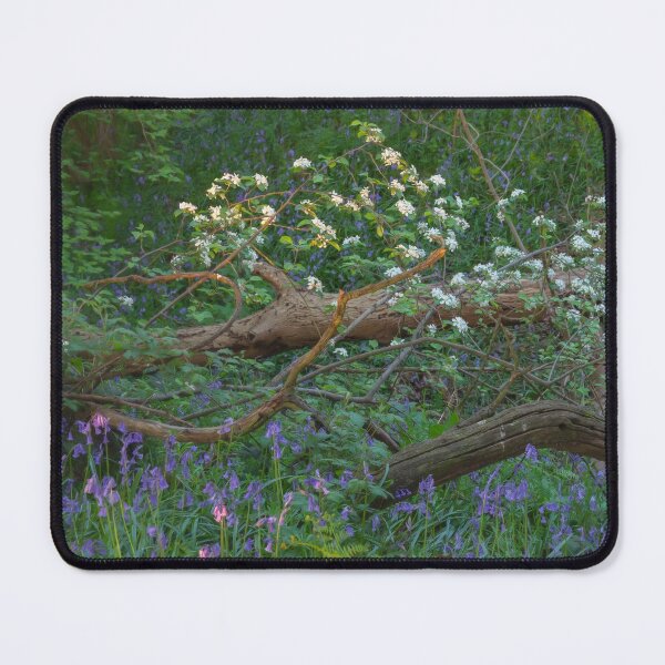 Item preview, Crab Apple Blossom & Bluebells designed and sold by andrewroland.