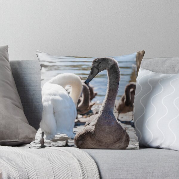 Item preview, Beautiful swan familiy with nestlings in lake designed and sold by Stanciuc.
