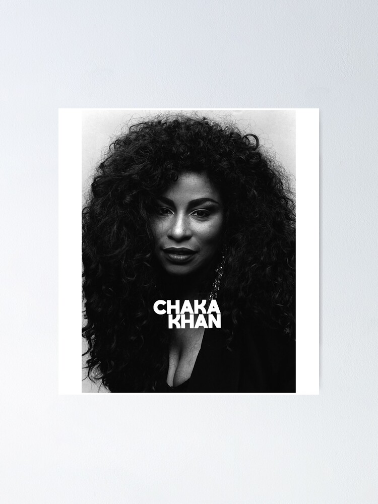 RUFUS Featuring CHAKA KHAN s/t 1975 US PROMO Only POSTER