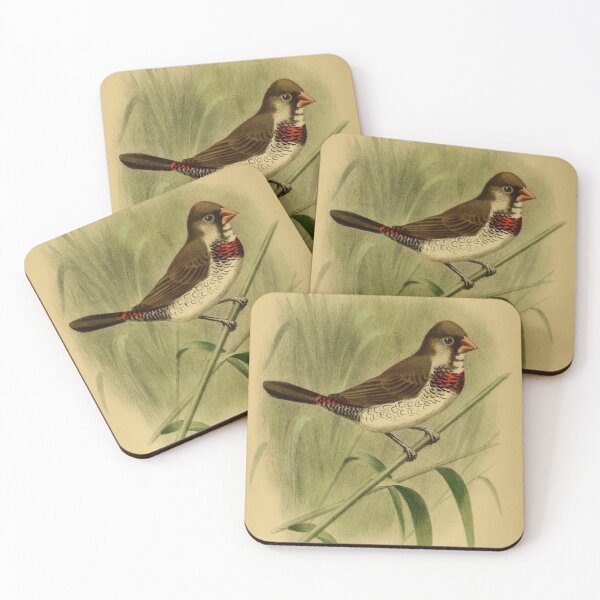 Item preview, Vintage Hybrid Grassfinch Bird designed and sold by ClauLuVint.