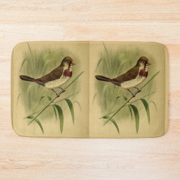 Item preview, Vintage Hybrid Grassfinch Bird designed and sold by ClauLuVint.