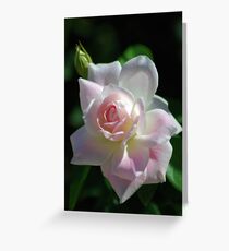 Pinkish rose Greeting Card