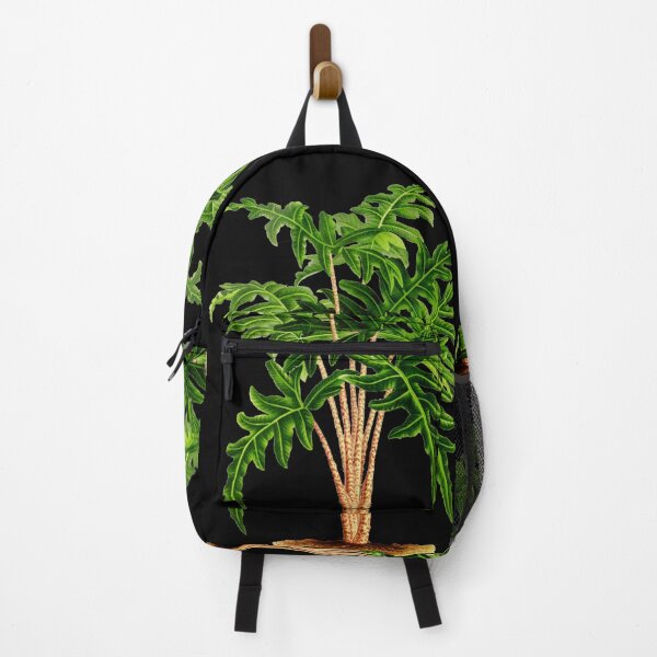 Item preview, Alocasia portei botanical illustration designed and sold by chimakingthings.