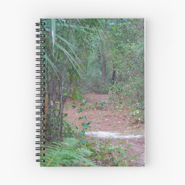 Item preview, The real Florida designed and sold by Ben Waggoner.