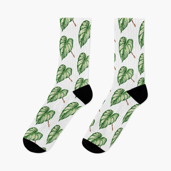 Item preview, Philodendron mamei botanical illustration designed and sold by chimakingthings.