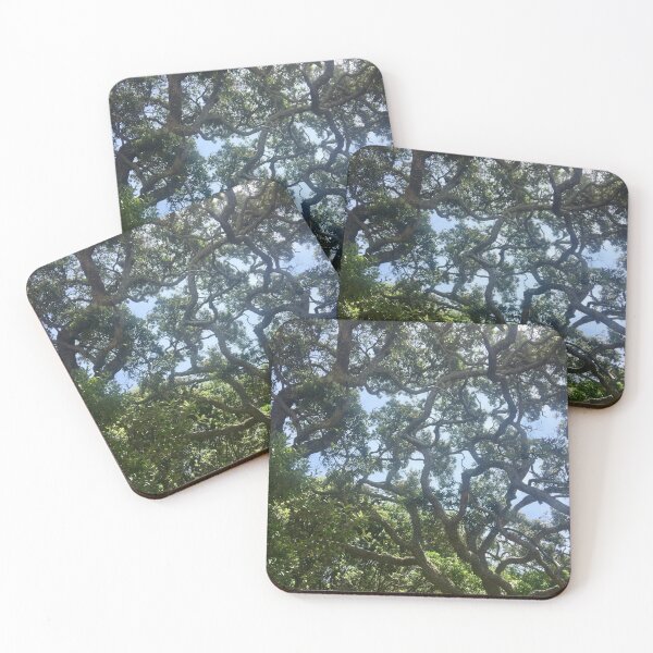 Item preview, New Zealand - Tree Canopy designed and sold by OWLarchitecture.com.
