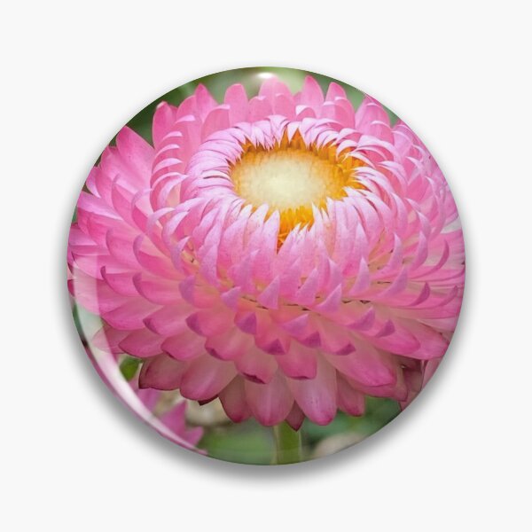 Item preview, Strawflower. By Lorraine (My Joy). designed and sold by Lorraine Lashley  - My Joy..