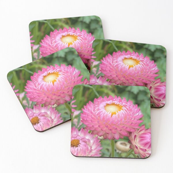 Item preview, Strawflower. By Lorraine (My Joy). designed and sold by Lorraine Lashley  - My Joy..