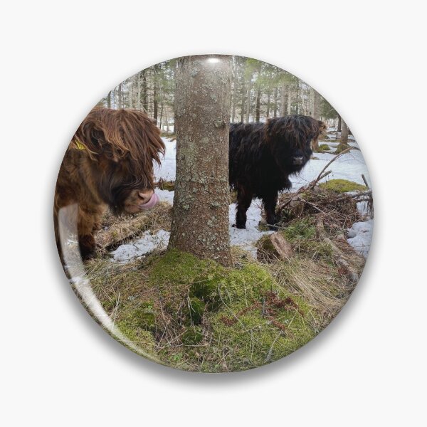 Artikelvorschau, Scottish Highland Cattle Calves 2797 entworfen und verkauft von SaarelaHighland.