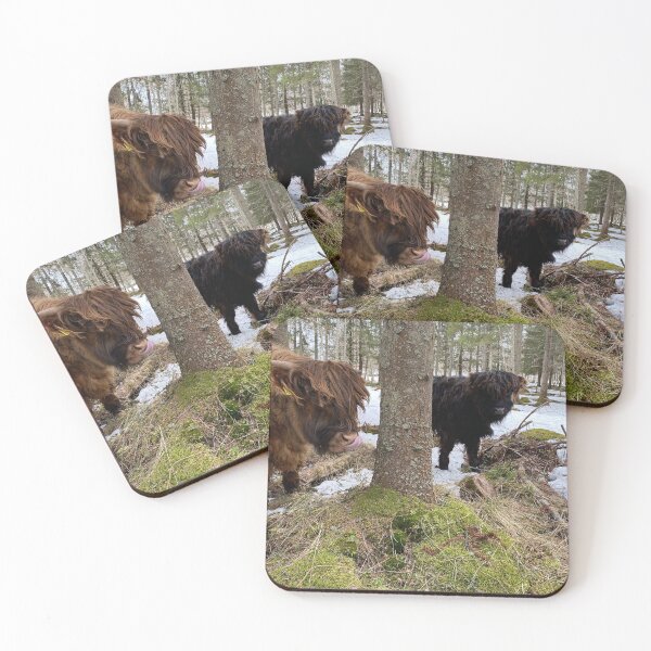 Item preview, Scottish Highland Cattle Calves 2797 designed and sold by SaarelaHighland.