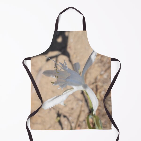 Item preview, Sea daffodil (Pancratium maritimum) beautiful white flower 1 designed and sold by Furiarossa.