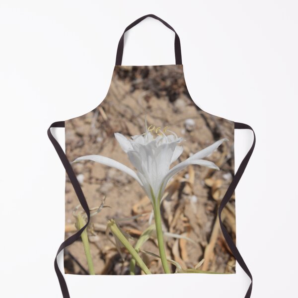 Item preview, Sea daffodil (Pancratium maritimum) beautiful white flower 2 designed and sold by Furiarossa.