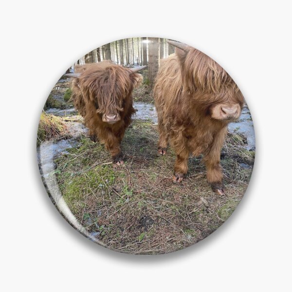 Artikelvorschau, Scottish Highland Cattle Calves 2802 entworfen und verkauft von SaarelaHighland.