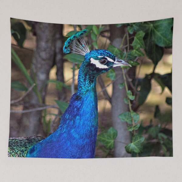Item preview, Peacock Indian Bird in a Garden Closeup designed and sold by worldways.