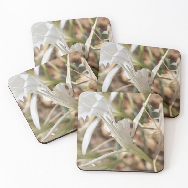Item preview, Sea daffodil (Pancratium maritimum) beautiful white flower 3 designed and sold by Furiarossa.