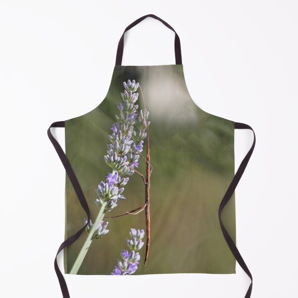 Item preview, r1006 / New Finition 2021- Phasme : en Beauté (c)(t) Olavia-Olao Okaio Créations designed and sold by o.okaïo.