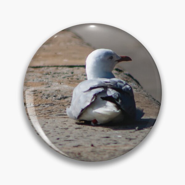 Item preview, Seagull resting on a waterfront stone wall designed and sold by James-Cole.