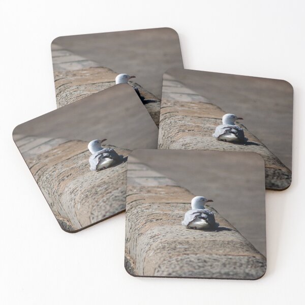 Item preview, Seagull resting on a waterfront stone wall designed and sold by James-Cole.