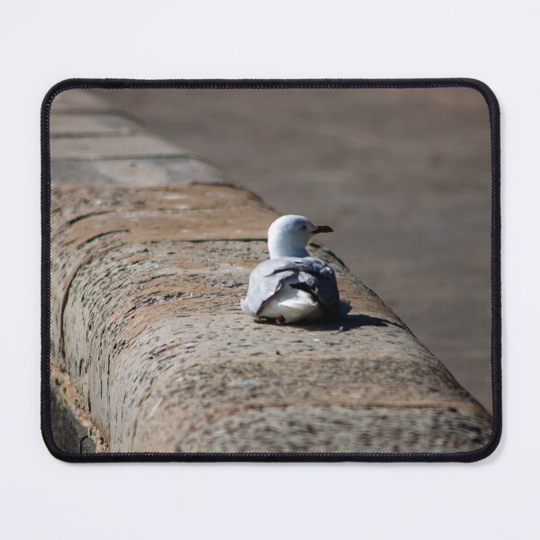 Item preview, Seagull resting on a waterfront stone wall designed and sold by James-Cole.