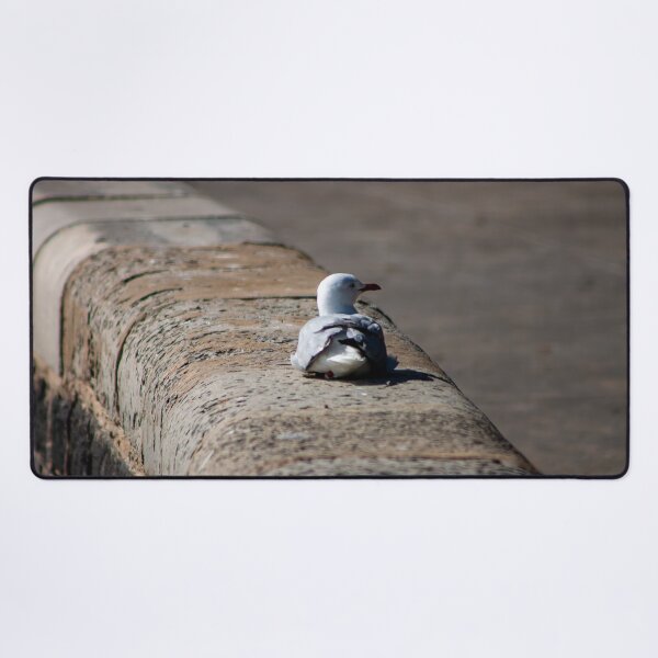 Item preview, Seagull resting on a waterfront stone wall designed and sold by James-Cole.