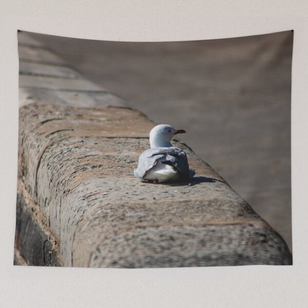 Item preview, Seagull resting on a waterfront stone wall designed and sold by James-Cole.