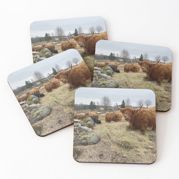 Item preview, Scottish Highland Cattle Cows 2811 designed and sold by SaarelaHighland.