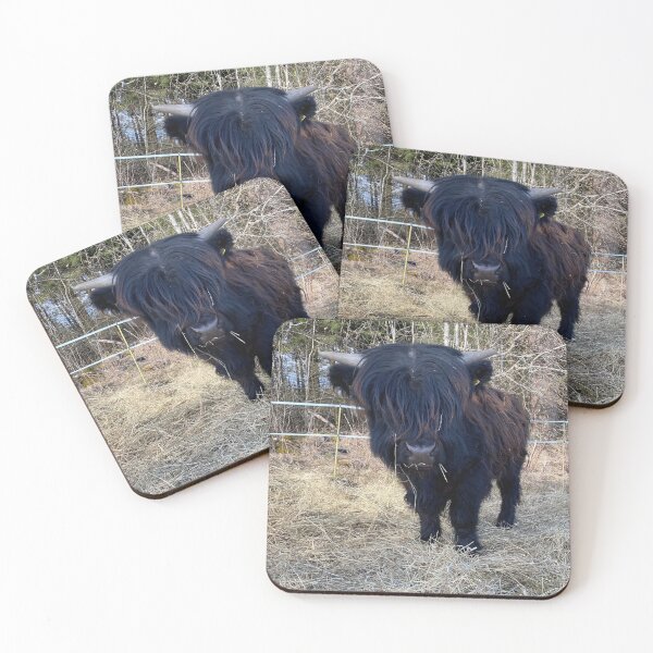 Item preview, Scottish Highland Cattle Calf 2813 designed and sold by SaarelaHighland.