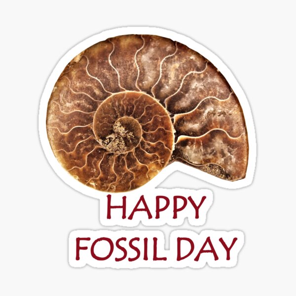 National Fossil Day Gifts & Merchandise for Sale | Redbubble