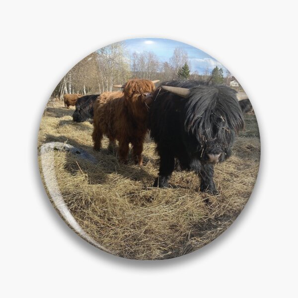 Artikelvorschau, Scottish Highland Cattle Calves 2814 entworfen und verkauft von SaarelaHighland.
