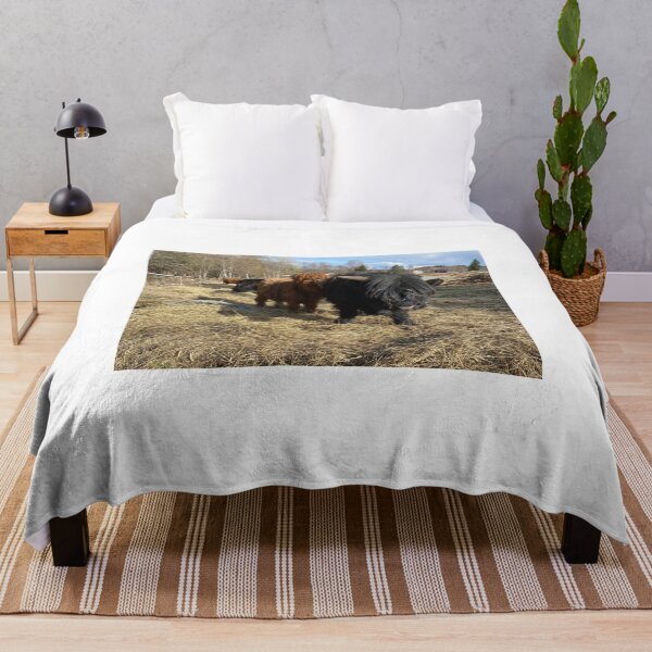 Item preview, Scottish Highland Cattle Calves 2814 designed and sold by SaarelaHighland.