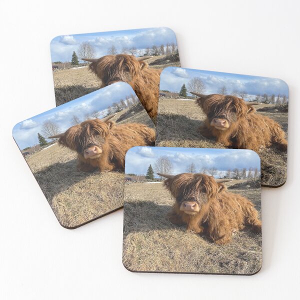 Artikelvorschau, Scottish Highland Cattle Calf 2815 entworfen und verkauft von SaarelaHighland.
